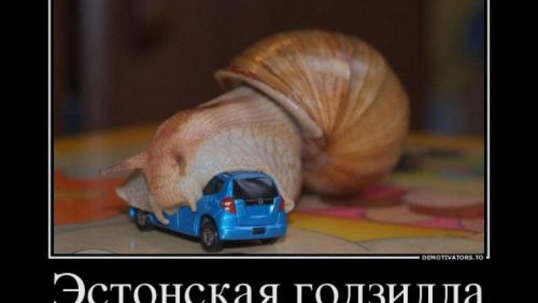 Подборка демотиваторов 