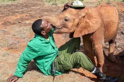 Счастливое спасение 