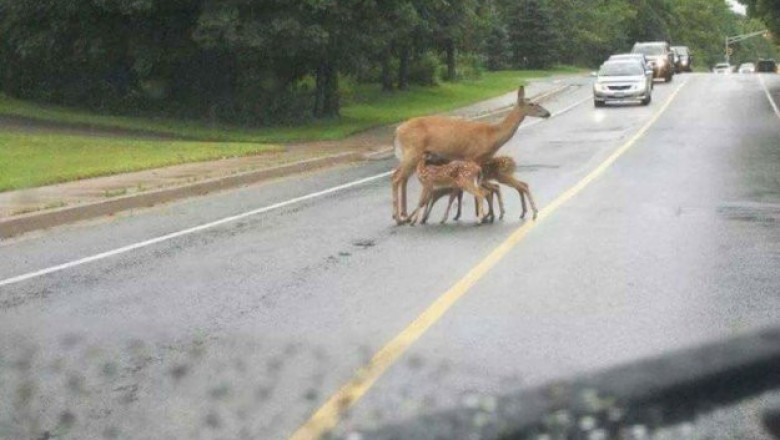 Из серии и пусть весь мир подождет 