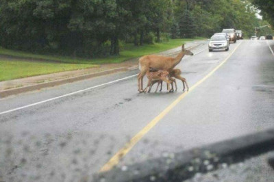 Из серии и пусть весь мир подождет 