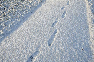 Красные следы моего детства