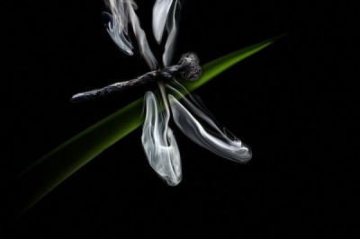 Оригинальные картины из горящих спичек 