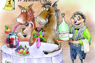 Что пить будете? Пиво? Вино? Коньяк?