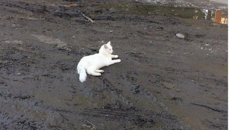 На это больно смотреть 