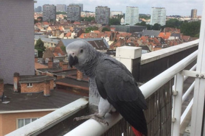 В темноте да не в обиде