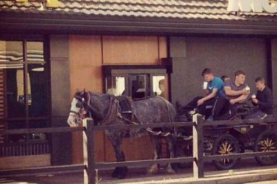 Необычные посетители ресторанов быстрого питания 