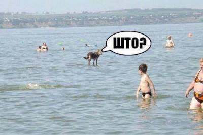 Весёлые картинки середины недели 