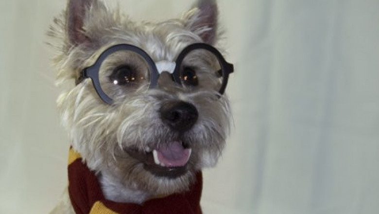 Забавные супергерои 