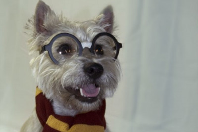 Забавные супергерои 