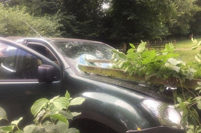 Повезло так повезло 