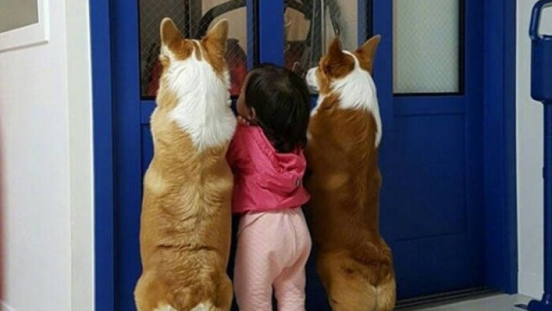 Интригующие ситуации 