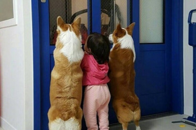 Интригующие ситуации 