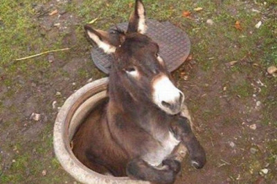 Ситуации которые могут случиться с каждым