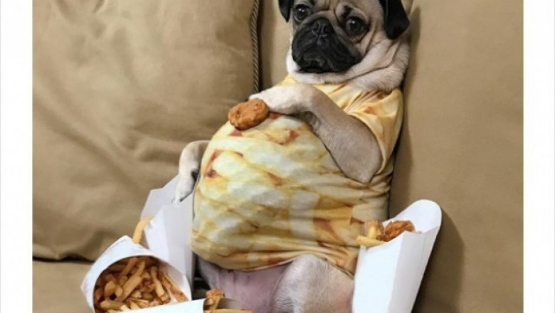 Жизнеутверждающие высказывания для худеющих 