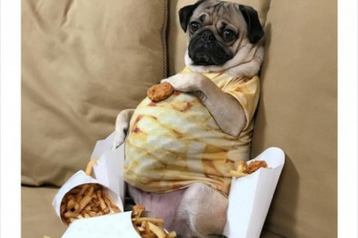 Жизнеутверждающие высказывания для худеющих 