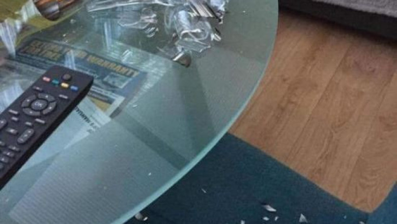 Провинившейся пёс 