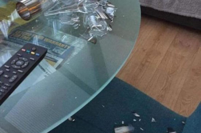 Провинившейся пёс 