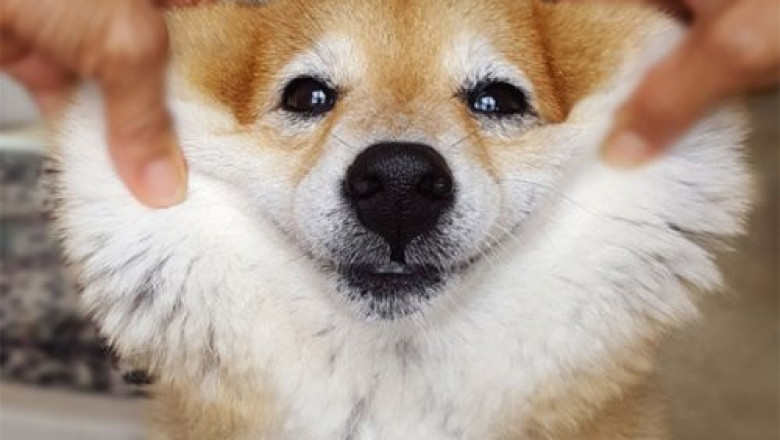 Щечки-очаровашки 