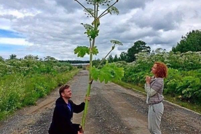 Кадры навеяны романтикой 