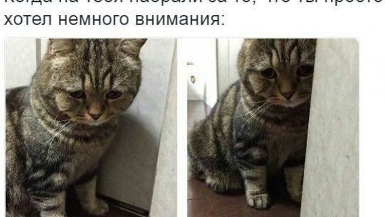 Ржачные фотомены 