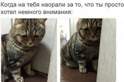 Ржачные фотомены 