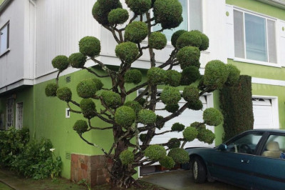 Живые скульптуры