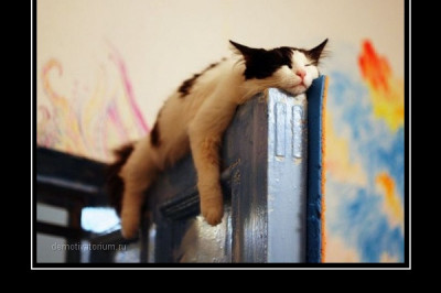 Как все достало 