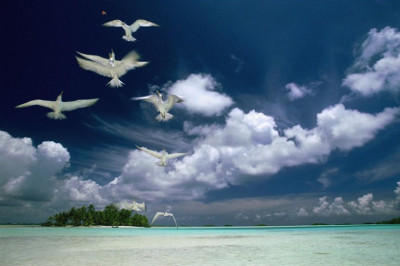 Удивительные фотографии с разных уголков мира 