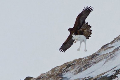 Улыбнёмся увиденному !