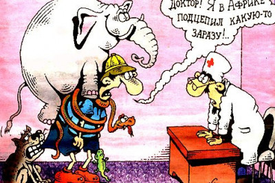 В больницах случается масса смешного и веселого