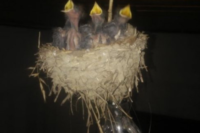 Домик с подогревом 