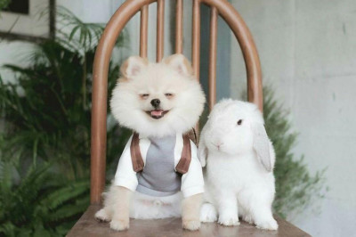 Просто для хорошего настроения 