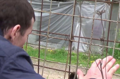 О беспечности и недальновидности 