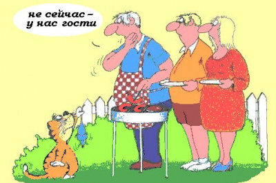 Жизненно и с юмором !