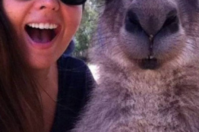 Австралийские впечатления 