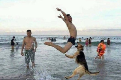 Несём улыбки 