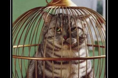 Демотиваторы на любой вкус 