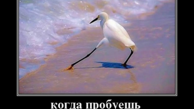 Холодная в море вода 