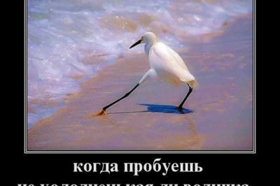 Холодная в море вода 