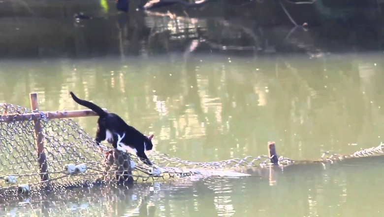 Не страшны никакие преграды 