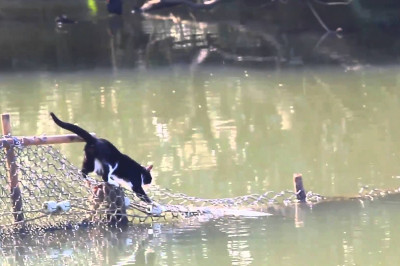 Не страшны никакие преграды 