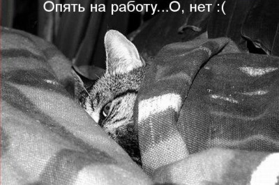 И снова понедельник ...