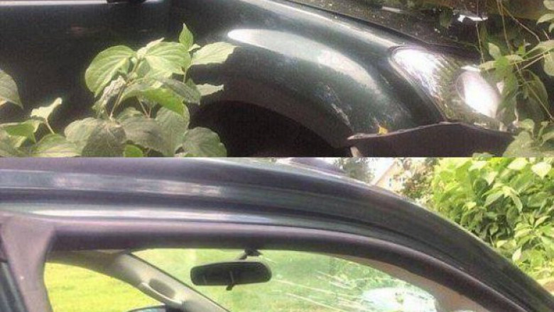 Настоящее везение выглядит примерно так