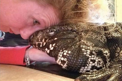 Варан в качестве домашнего питомца