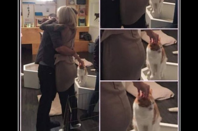 Выбор очевиден 