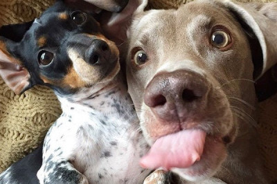 Есть повод улыбнуться !