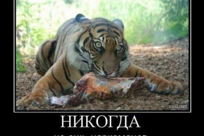 Работники лакокрасочного завода возвращаются домой через сказочный лес