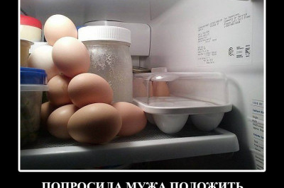 Жена попросила мужа 