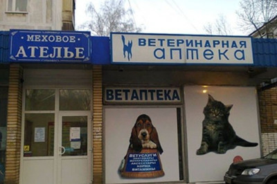 Маразмы с улиц города 