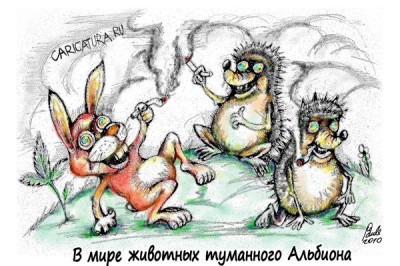 Папа, привези мне аленький цветочек!